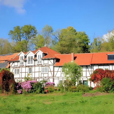 Ferienwohnung Die Fuchsmühle Liebenau  Exterior foto